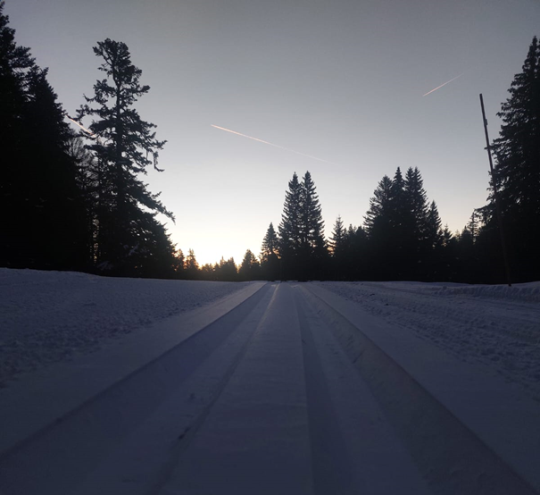 Nordic Night à La Vattay