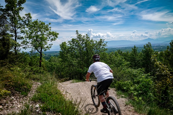 VTT